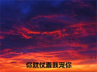 你就仗着我宠你：结局+番外免费品鉴（唐浅时湛）整本畅享在线+无广告结局