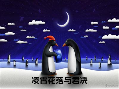 玄晟锦瑟凌霄花落与君决：+后续+番外+附加（凌霄花落与君决）清爽版阅读