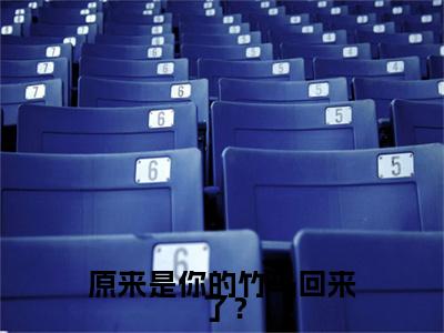 谢叙白沈栖雀小说全文免费阅读（原来是你的竹马回来了？）全文免费阅读无弹窗_谢叙白沈栖雀小说全文免费阅读_笔趣阁