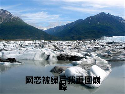 苏亭夏靳颂言(网恋被绿后我重回巅峰)章节目录+起始篇章（苏亭夏靳颂言）：结局+番外评价五颗星