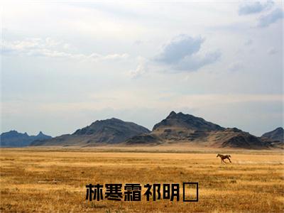 林寒霜祁明翙后续(林寒霜祁明翙)（林寒霜祁明翙）完整章节列表_笔趣阁