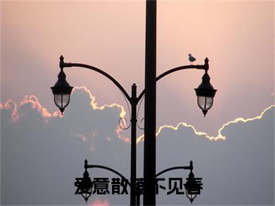 秦辞叙沈茗夏终章（爱意散落不见春）完整章节列表_笔趣阁