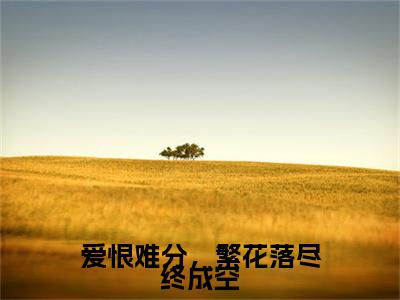 爱恨难分，繁花落尽终成空后续（傅云琛苒苒）全篇在线阅读前传