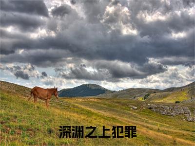 池鱼沈南风：结局+番外免费品鉴+全书阅读（深渊之上犯罪）：结局+番外评价五颗星