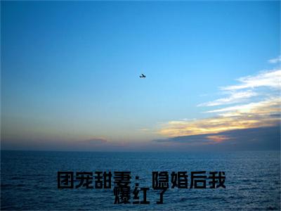 团宠甜妻：隐婚后我爆红了：结局+番外新上热文 新章速递孙晴晴夏天祺：结局+番外评价五颗星