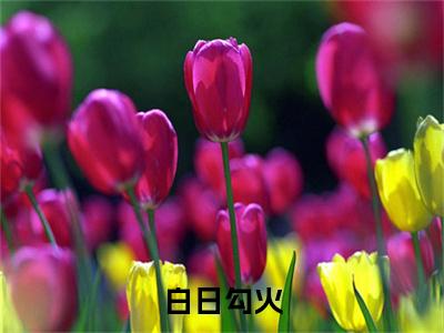 岑阮陆迟野：结局+番外免费品鉴（白日勾火）整本畅享在线+无广告结局