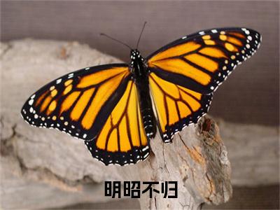 （楚婉昭谢明棠）楚婉昭谢明棠(明昭不归)无套路无弹窗全部章节列表