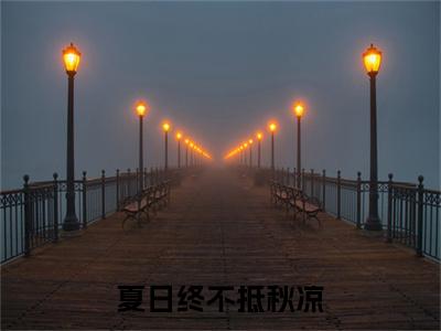 （夏日终不抵秋凉）顾靳安苏珂：结局+番外精品选集起点章节+阅读即将发布预订
