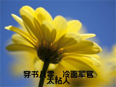 林知月江屿小说(穿书八零，冷面军官太粘人)（林知月江屿）完整章节列表_笔趣阁