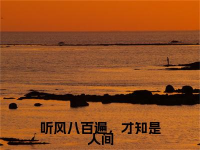 前传_笔趣阁（听风八百遍，才知是人间）听风八百遍，才知是人间小说(夏时桉黎苏苏)章节在线阅读