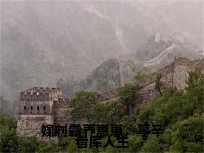 黎酥酥江淮(嫁村霸养崽崽，享辛者库人生)（黎酥酥江淮）完整章节列表_笔趣阁