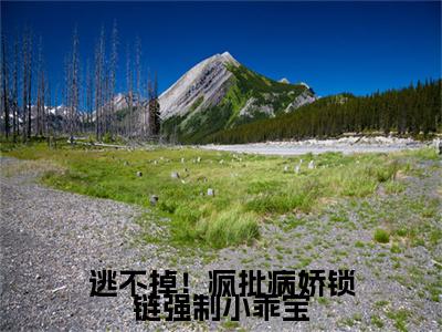 逃不掉！疯批病娇锁链强制小乖宝特别篇章节目录+章节前文（季昭昭霍京寒）TXT清爽版在线