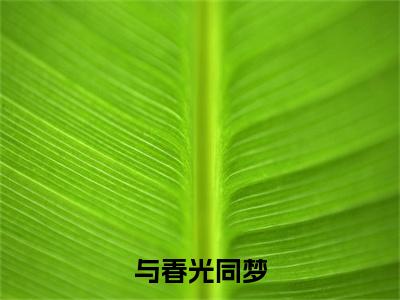 宁若薇傅砚修：+后续人物讨喜无套路全集与春光同梦