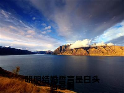（明明结婚誓言是白头偕老啊）顾礼孟梓义明明结婚誓言是白头偕老啊无删减小说在线无广告高口碑小说