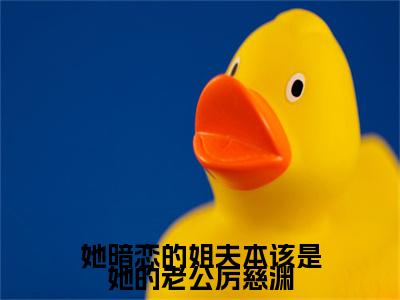 慕雨涔厉慈渊全文全文免费阅读_她暗恋的姐夫本该是她的老公厉慈渊全文最新章节列表笔趣阁（慕雨涔厉慈渊）