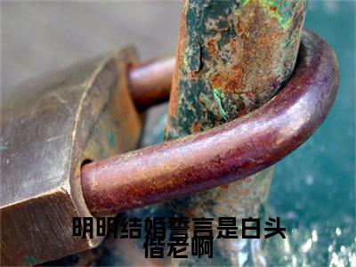 独家顾礼孟梓义：结局+番外评价五颗星 （顾礼孟梓义）TXT免费版阅读