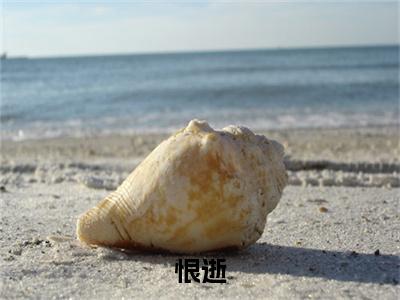 恨逝番外+结局（何秋华胡肖成）小说在线阅读