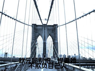 状元郎别怕，悍妻她不欺负自己人：结局+番外免费品鉴+起始篇章（桑叶淮书礼）阅读