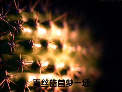 沈芊芊宋喻州是什么小说(青丝皓首梦一场)（沈芊芊宋喻州）全本完整清爽版在线+无广告结局