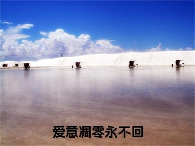 爱意凋零永不回小说(爱意凋零永不回)终章+番外（裴宴温知意）一口气阅读