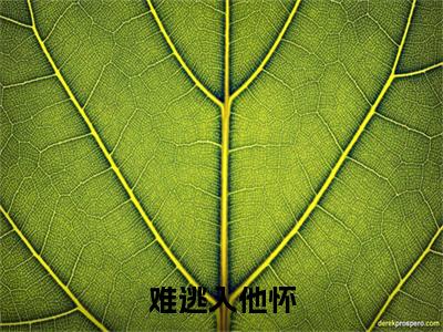 沈月汐温靖驰小说无删减+后续（难逃入他怀）畅享阅读