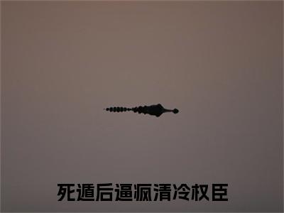 死遁后逼疯清冷权臣顾长钰苏暮：结局+番外免费品鉴+全书阅读（死遁后逼疯清冷权臣）最新连载