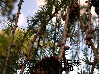 顾笙季清和 小说小说全集+延伸+完本（被网恋对象抛弃后我大杀四方季清和）畅享在线阅读
