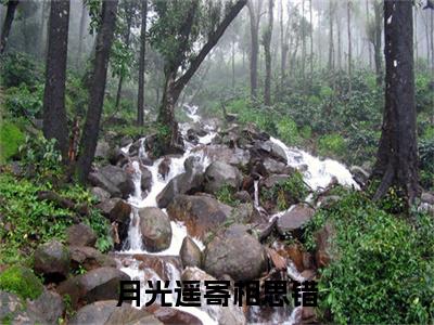 裴千辰沈欢棠小说完结篇(月光遥寄相思错)章节前文+全篇阅读（裴千辰沈欢棠）最近更新
