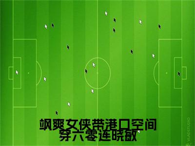 连晓敏完结篇(飒爽女侠带港口空间穿六零连晓敏)（飒爽女侠带港口空间穿六零连晓敏）全书无套路阅读无广告小说大结局