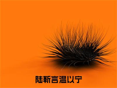 温以宁陆靳言小说（陆靳言温以宁）+后续+结局在线阅读