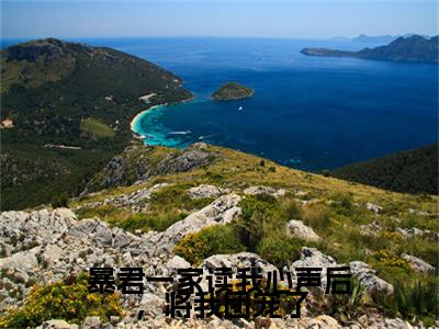 九九暴君一家读我心声后，将我团宠了终章（暴君一家读我心声后，将我团宠了）完整章节列表_笔趣阁