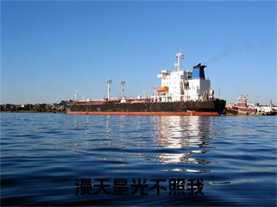 （蒋南舟苏轻禾）漫天星光不照我延伸在线下载无广告章节清单