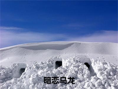 暗恋乌龙(乔雨薇周嘉白)小说全集在线下载_章节前文+后续（暗恋乌龙）