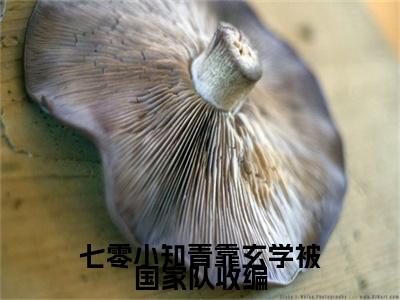 （书荒必看）七零小知青靠玄学被国家队收编(姜黎穆景勋)无删减在线下载阅读最终终章