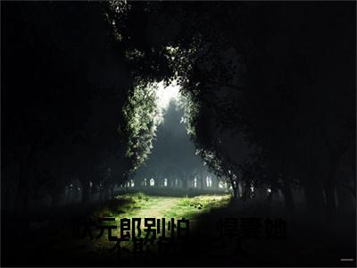 状元郎别怕，悍妻她不欺负自己人小说完整在线阅读（桑叶淮书礼）前传列表