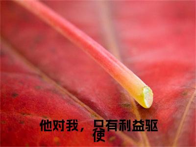 沈卿欢谢临渊小说（他对我，只有利益驱使）TXT无套路在线+无广告结局