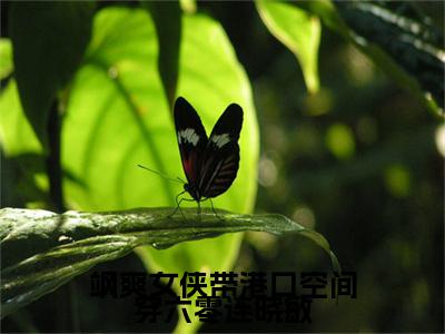 连晓敏是什么小说(飒爽女侠带港口空间穿六零连晓敏)（连晓敏）全本完整清爽版在线+无广告结局