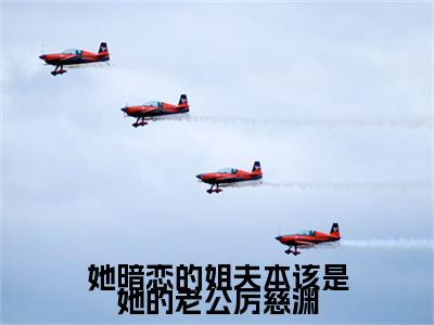 她暗恋的姐夫本该是她的老公厉慈渊：结局+番外新上热文（慕雨涔厉慈渊）最近章节列表