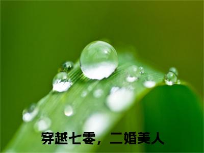 穿越七零，二婚美人：结局+番外宝藏文全篇一口气_早期章节+后续（张秋宛宋之景）