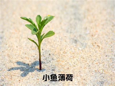 ﻿小鱼薄荷：完结+结局+番外（小鱼薄荷徐依童余戈：完结+结局+番外）