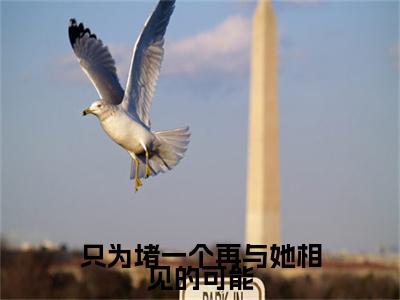 施窈时青潋小说(只为堵一个再与她相见的可能)（施窈时青潋）整本+后续+结局在线阅读