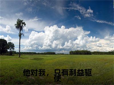 沈卿欢谢临渊小说（他对我，只有利益驱使）前传+全书阅读新作预览