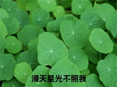 漫天星光不照我 蒋南舟苏轻禾：+后续热血十足+延伸+完本（漫天星光不照我）畅享在线阅读