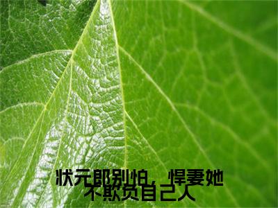 桑叶淮书礼：+后续无删版（状元郎别怕，悍妻她不欺负自己人）终章阅读无广告