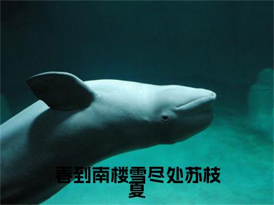 傅庭州苏枝夏：结局+番外宝藏文高分小说春到南楼雪尽处苏枝夏