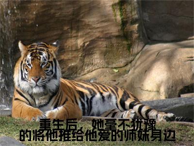 云浅惜墨幽冥(重生后，她毫不犹豫的将他推给他爱的师妹身边)小说全集在线下载_章节前文+后续（云浅惜墨幽冥）