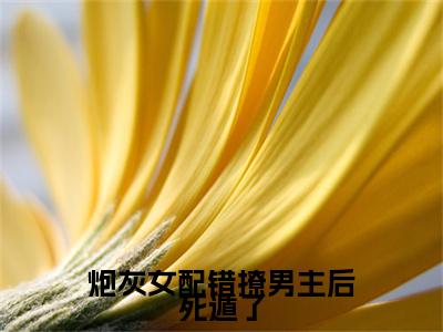 顾砚池宋纭槿小说番外+结局（炮灰女配错撩男主后死遁了）小说在线阅读