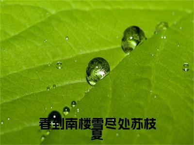 傅庭州苏枝夏是什么小说(春到南楼雪尽处苏枝夏)（傅庭州苏枝夏）全本完整清爽版在线+无广告结局