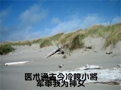 张榆安医术通古今冷峻小将军奉我为神女番外（医术通古今冷峻小将军奉我为神女）TXT+后续+结局在线阅读