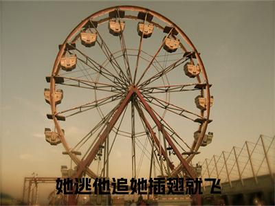 尹曼筝肖振霖彩蛋完整在线阅读（她逃他追她插翅就飞）最近章节列表